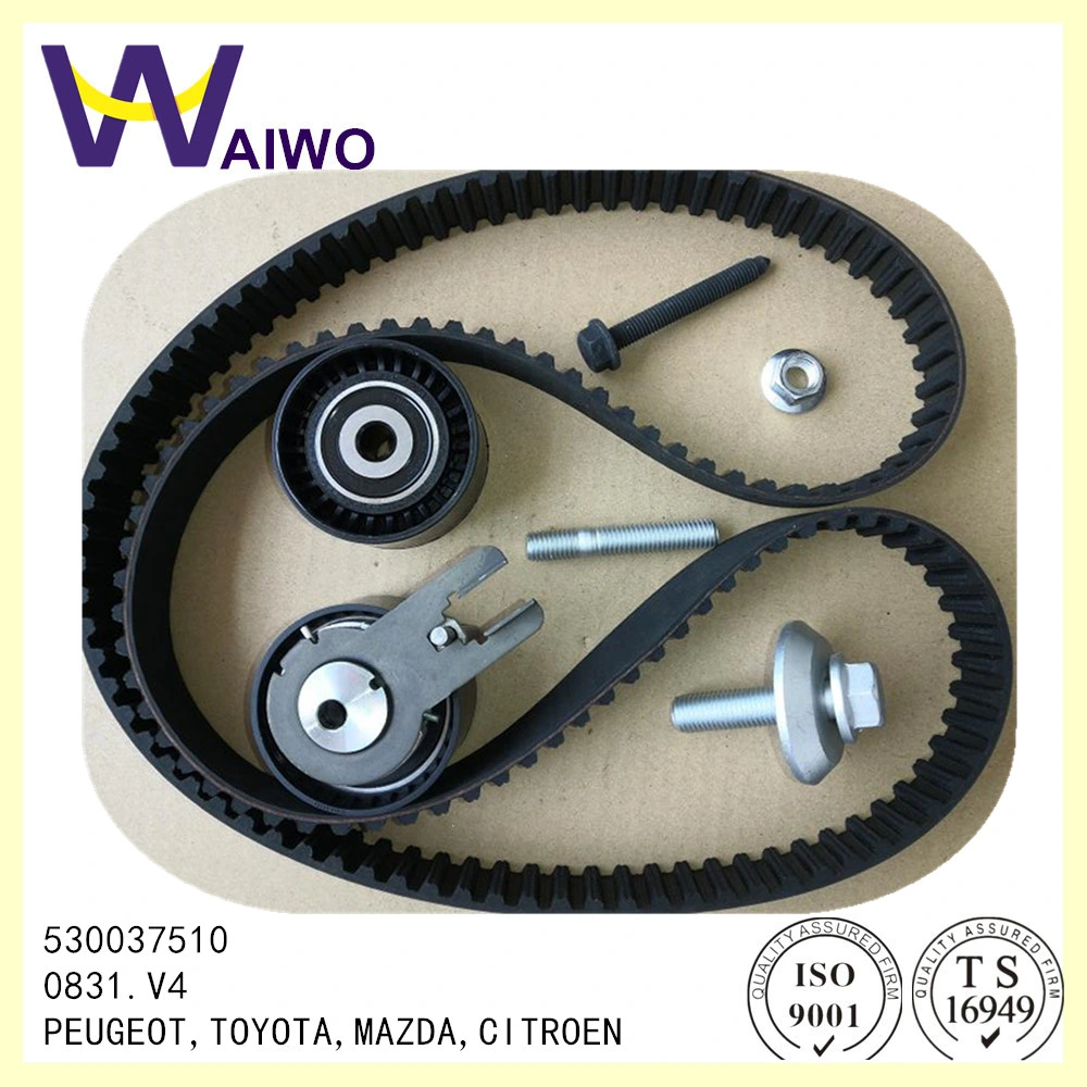 Good Quality Auto Timing Belt Kit 530037510 for Peugeot, Toyota, Mazda, Citroen 137ru25.4 Auto Spare Parts CT1092K1